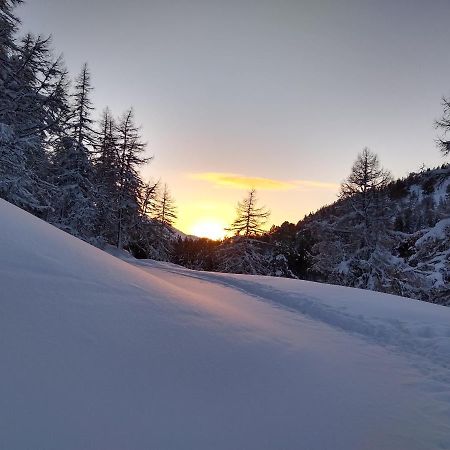 Ivy Cottage Bed And Breakfast Braemar Esterno foto